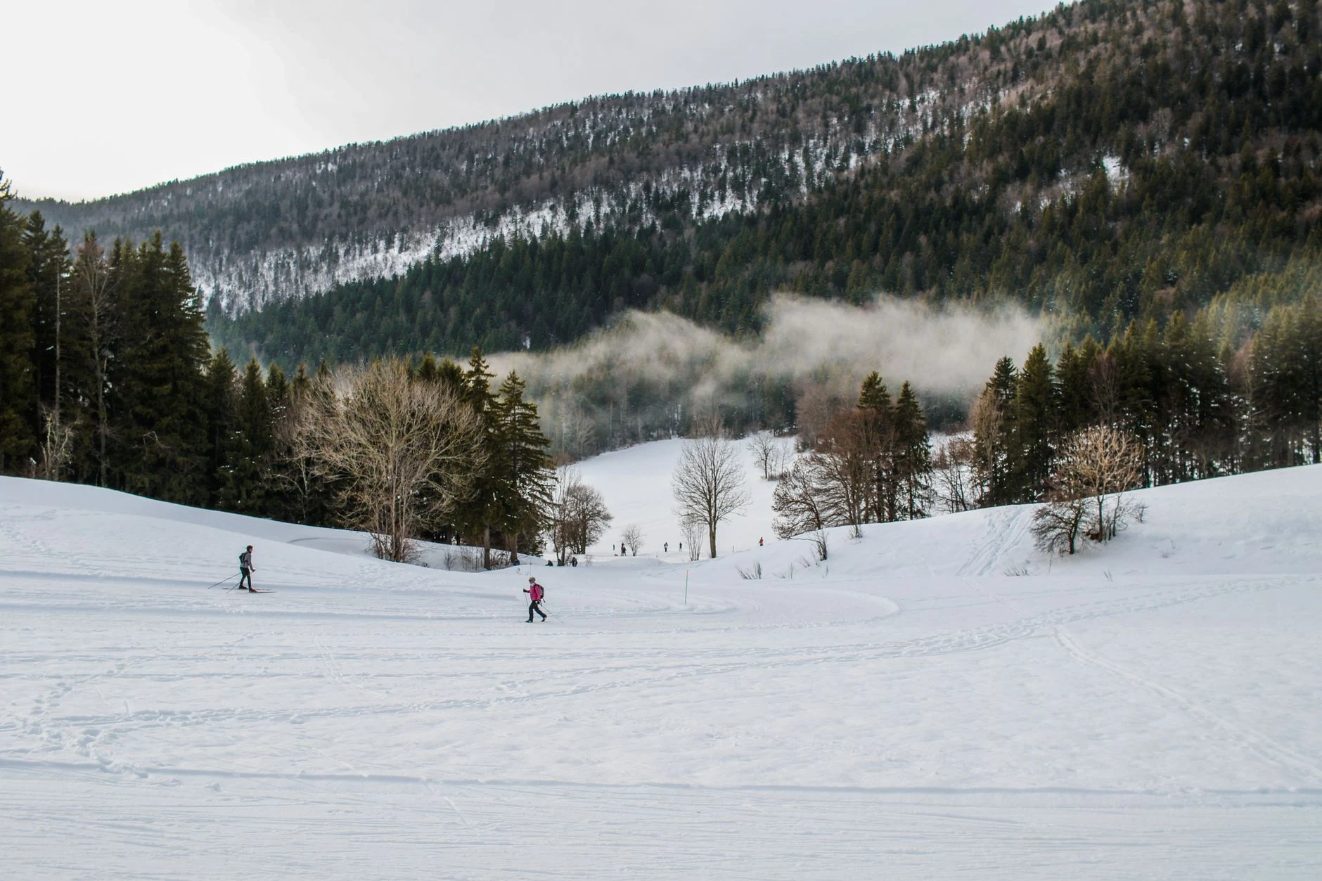 L'univers du ski en bois : traditions, choix et conseils